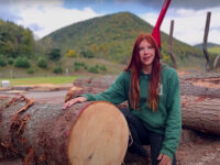 Emerald from Lumber Capital Log Yard showing a harvested pine tree